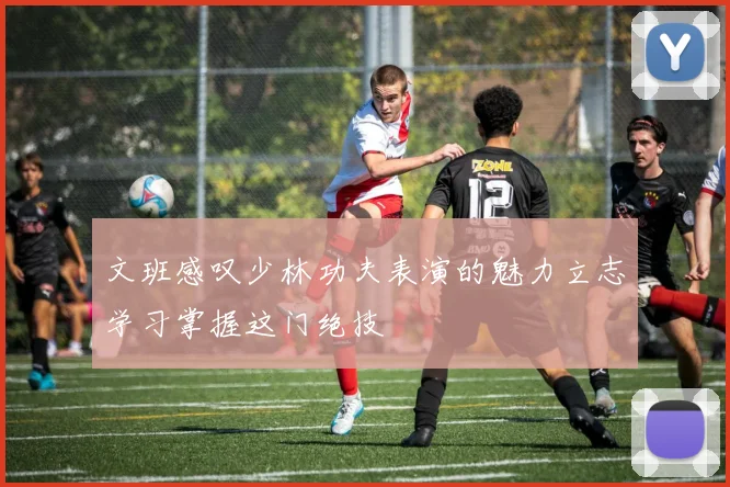 文班感叹少林功夫表演的魅力立志学习掌握这门绝技