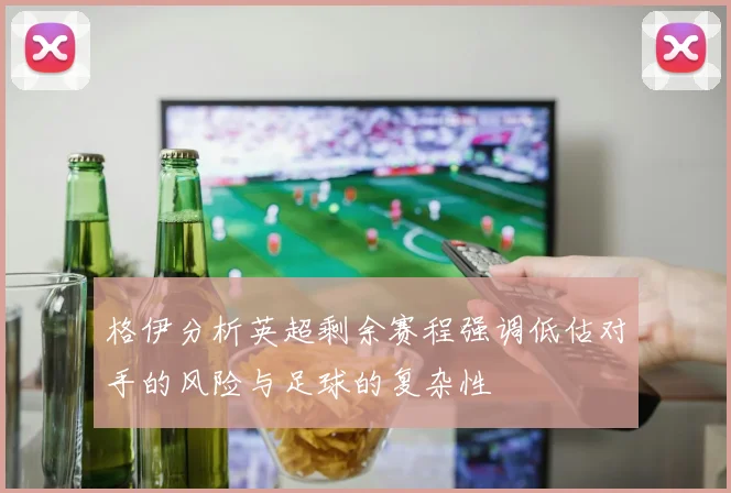 格伊分析英超剩余赛程强调低估对手的风险与足球的复杂性