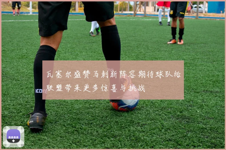 瓦塞尔盛赞马刺新阵容期待球队给联盟带来更多惊喜与挑战