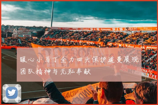 暖心小马丁全力回头保护道曼展现团队精神与无私奉献